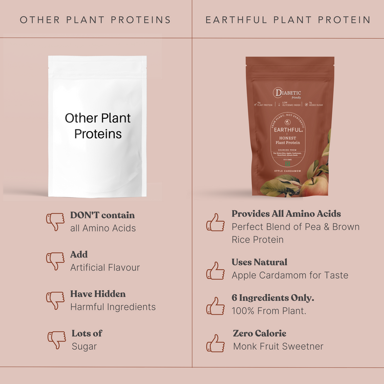 Honest Plant Protein - Apple (Diabetic Friendly)