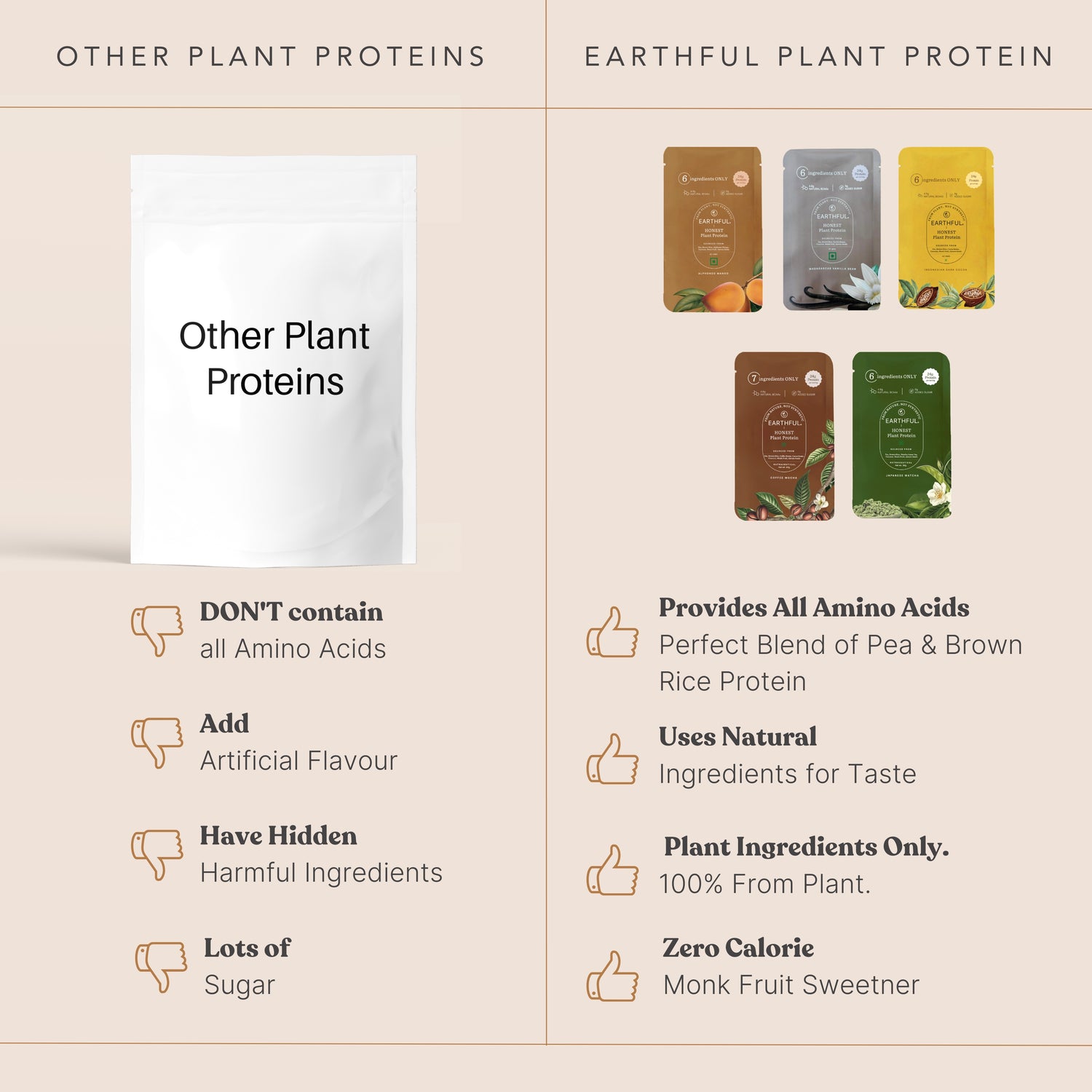 Honest Plant Protein - Assorted Pack