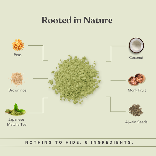MonkSweet + Plant Protein - Japanese Matcha Combo