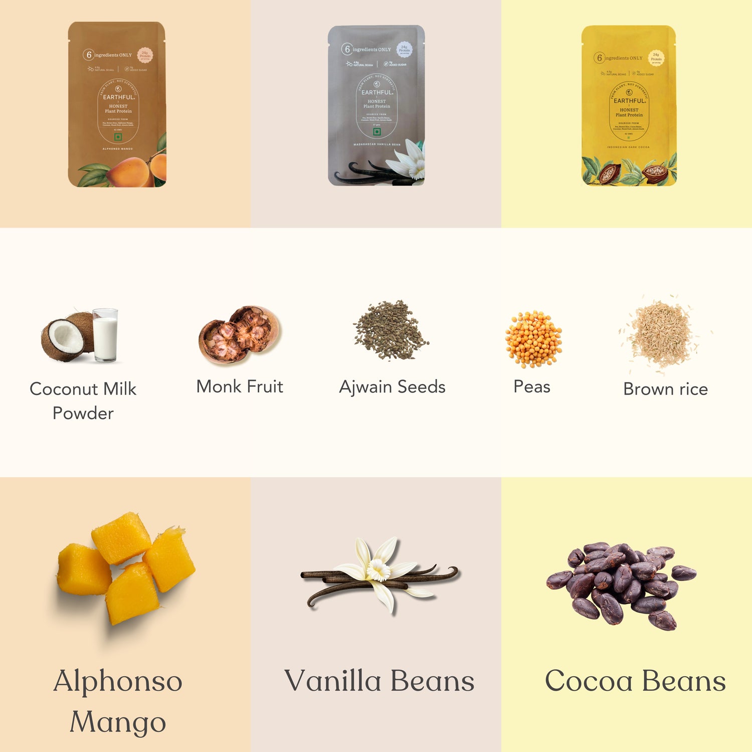 Honest Plant Protein - Assorted Pack