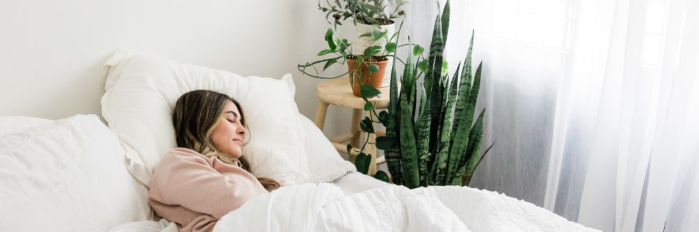 The essential guide to melatonin, the natural sleep aid
