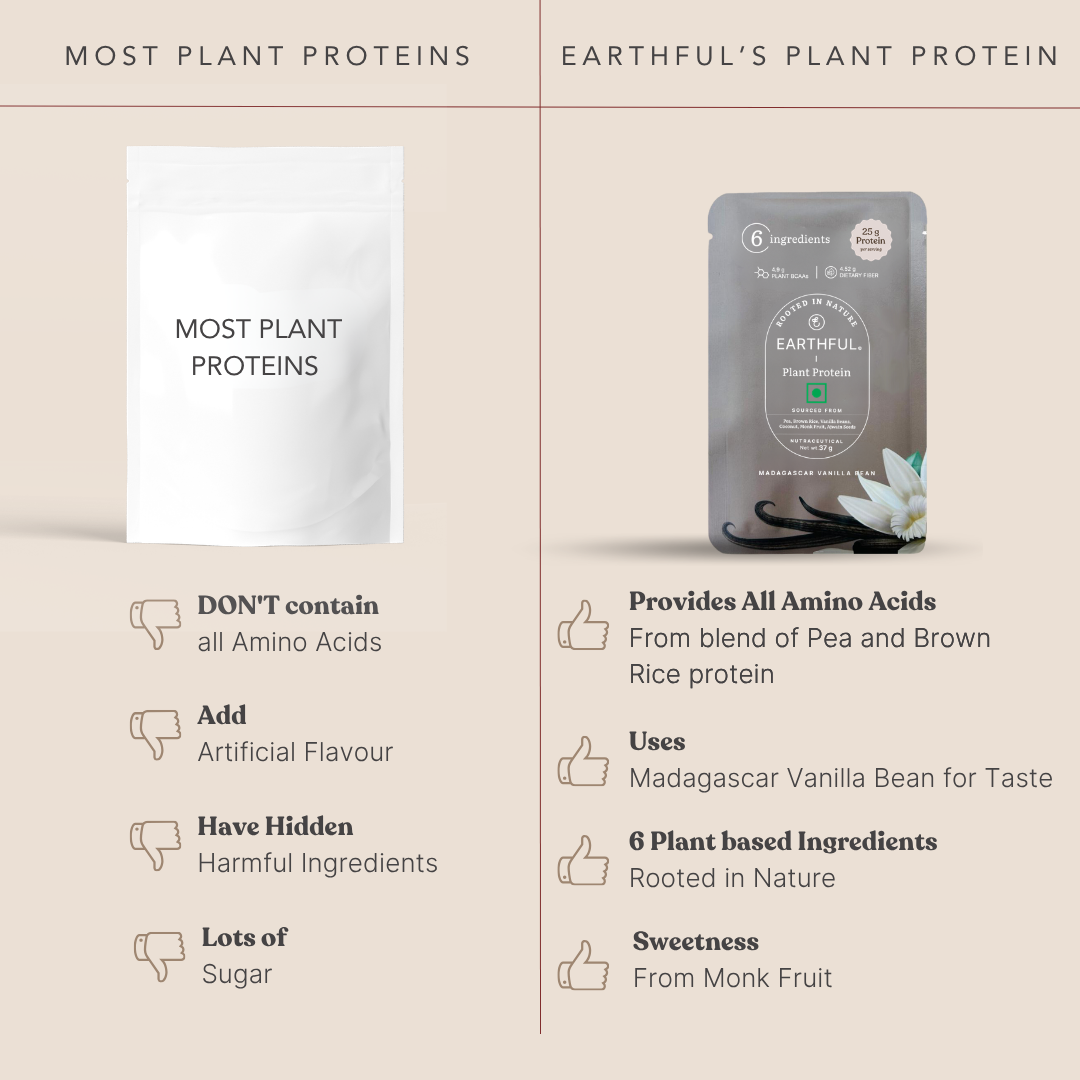 Plant Protein- Madagascar Vanilla
