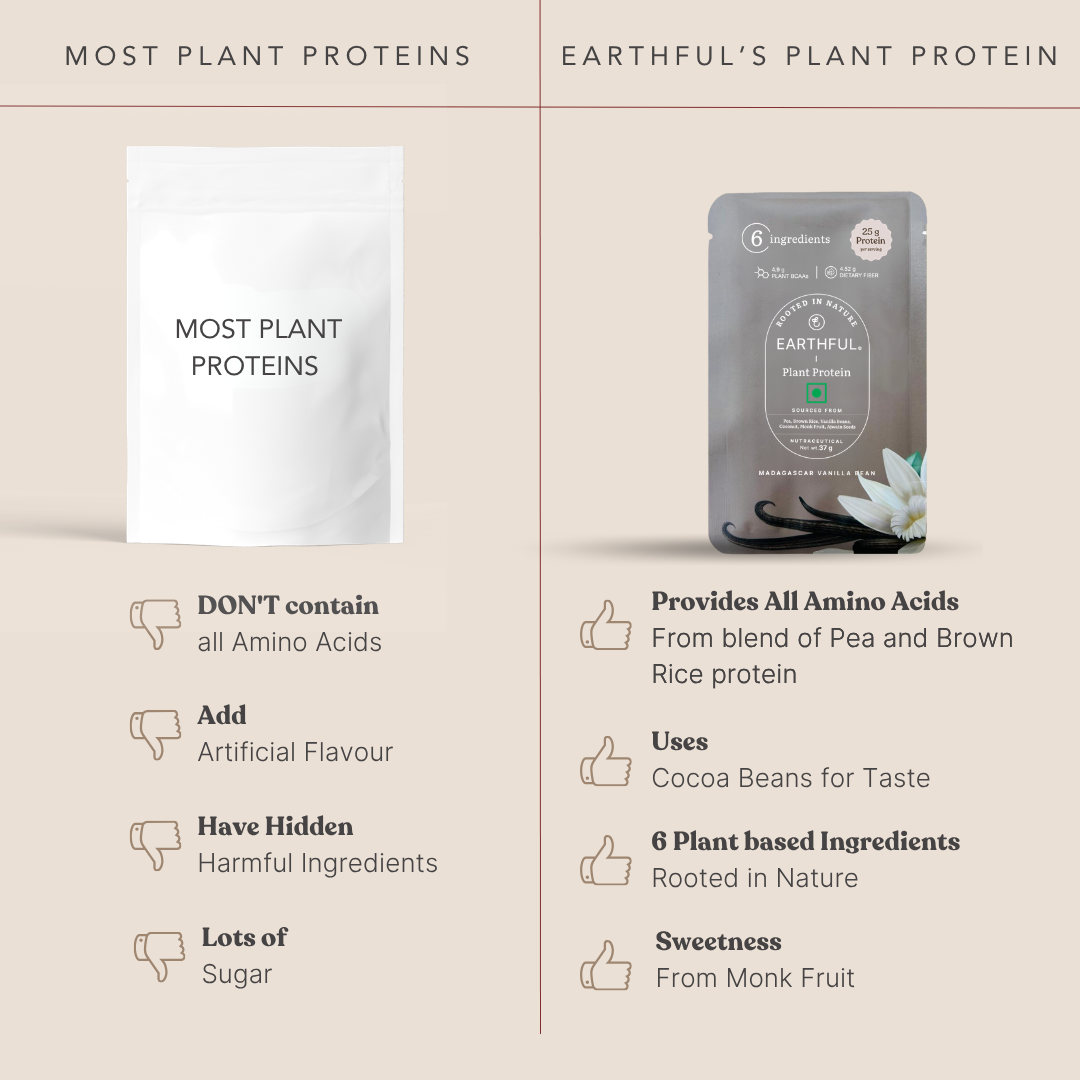 Plant Protein- Madagascar Vanilla