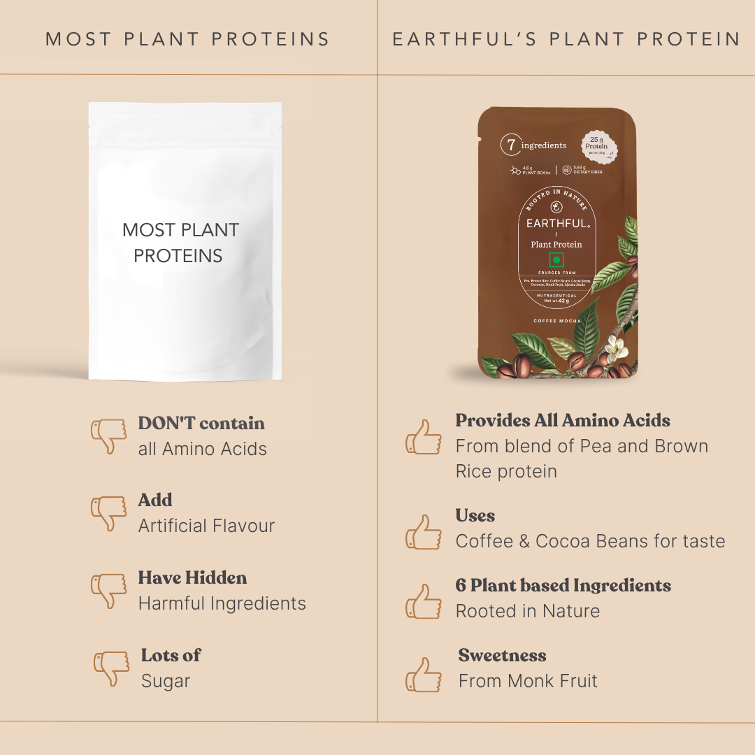 Honest Plant Protein - Coffee Mocha