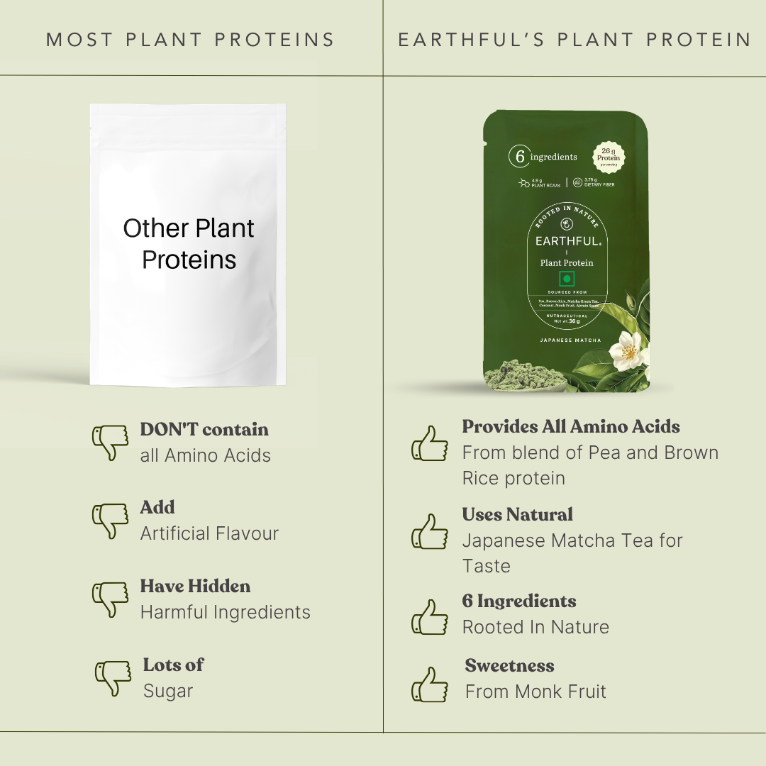 Plant Protein - Japanese Matcha