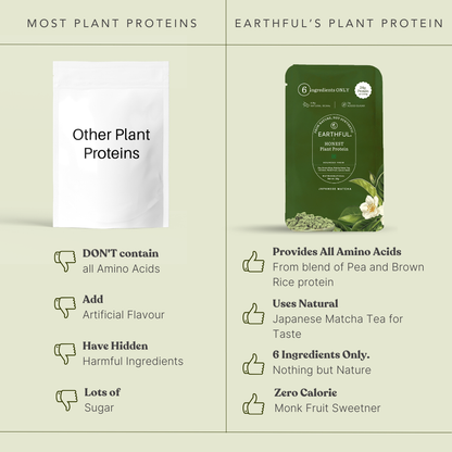 Plant Protein - Japanese Matcha