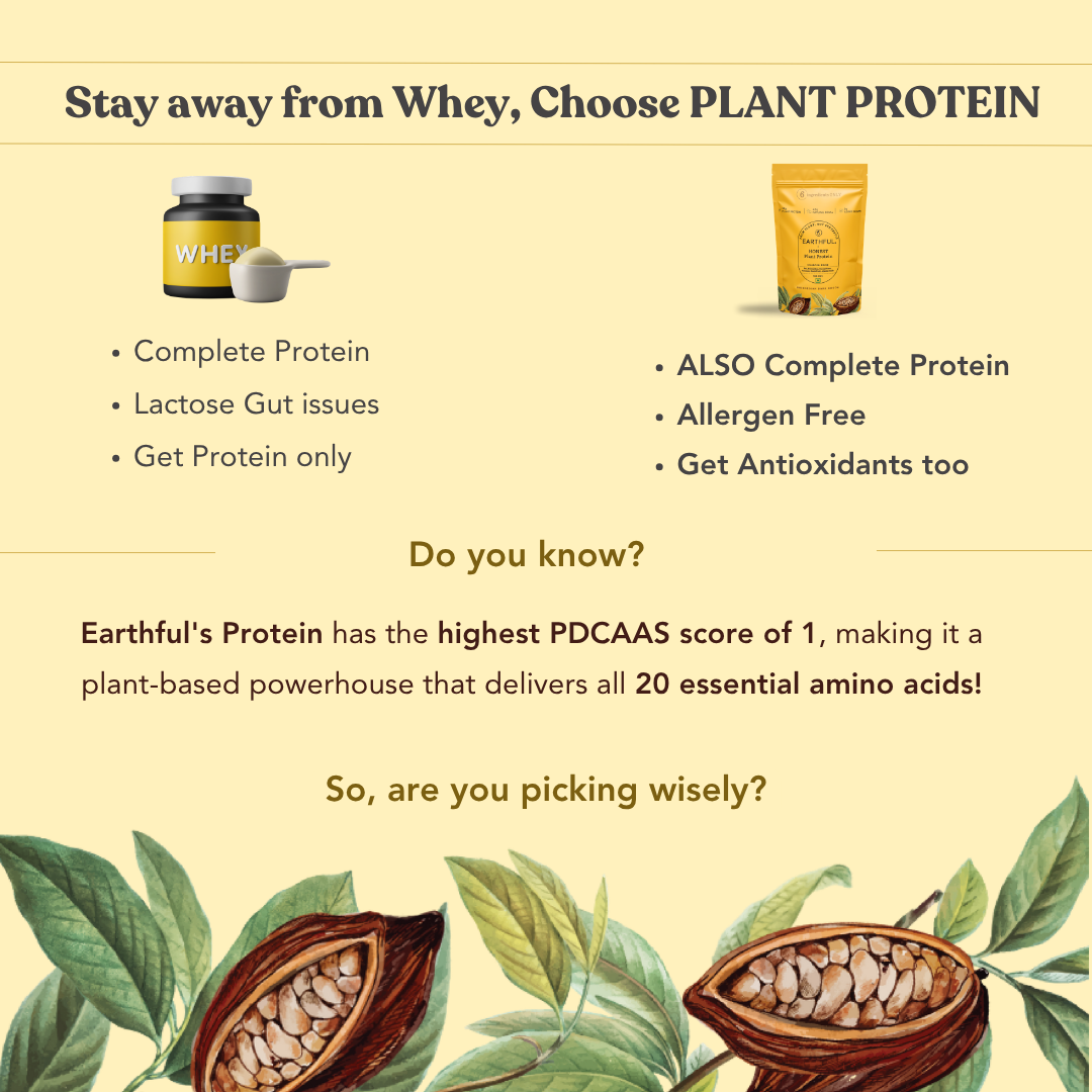 Honest Plant Protein - Indonesian Cocoa