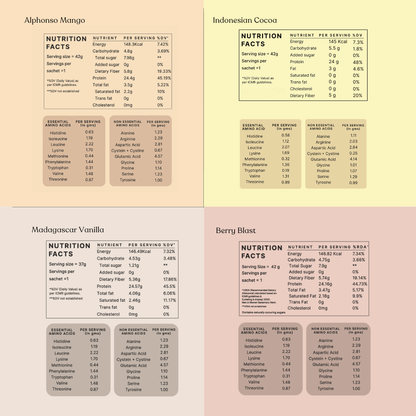 Honest Plant Protein - Assorted Pack Of 12