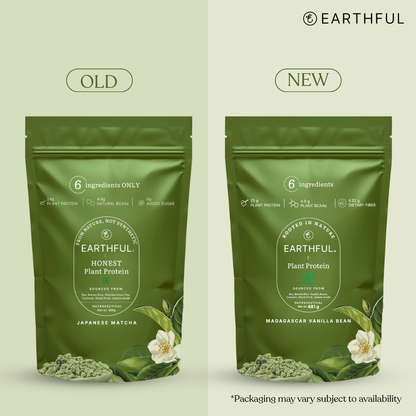 MonkSweet + Plant Protein - Japanese Matcha Combo