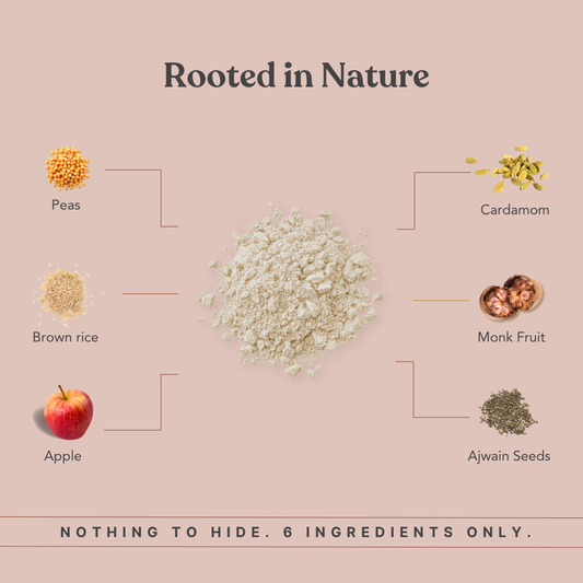 MonkSweet + Plant Protein - Apple Combo