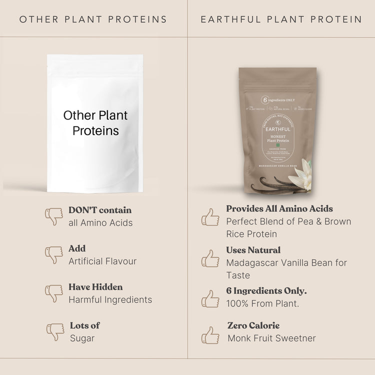 Honest Plant Protein- Madagascar Vanilla