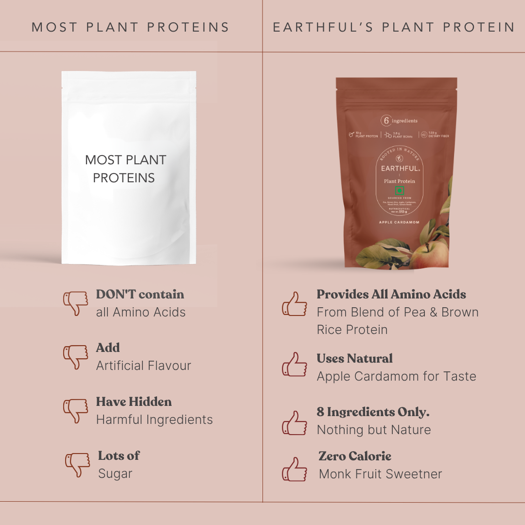 Honest Plant Protein - Apple