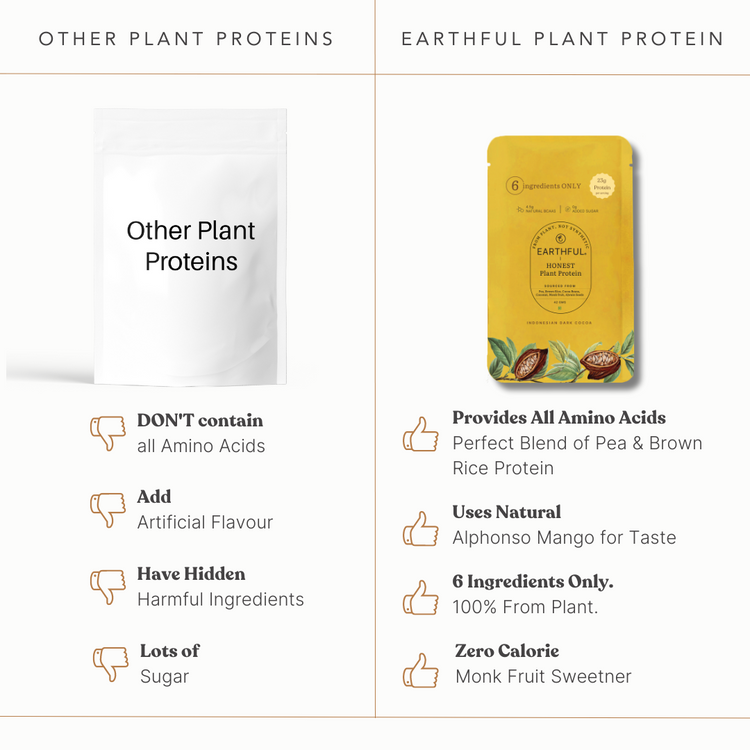 Honest Plant Protein - Assorted Pack