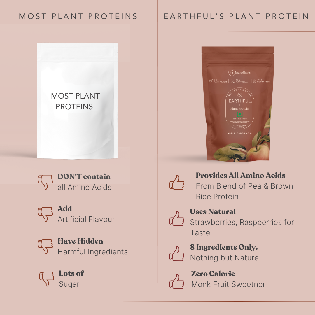 Plant Protein - Apple