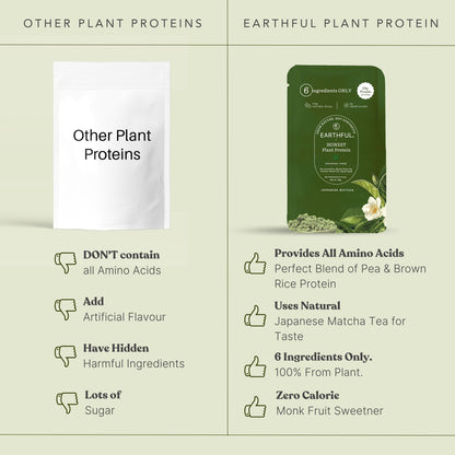 Japanese Matcha Protein Single Sachet