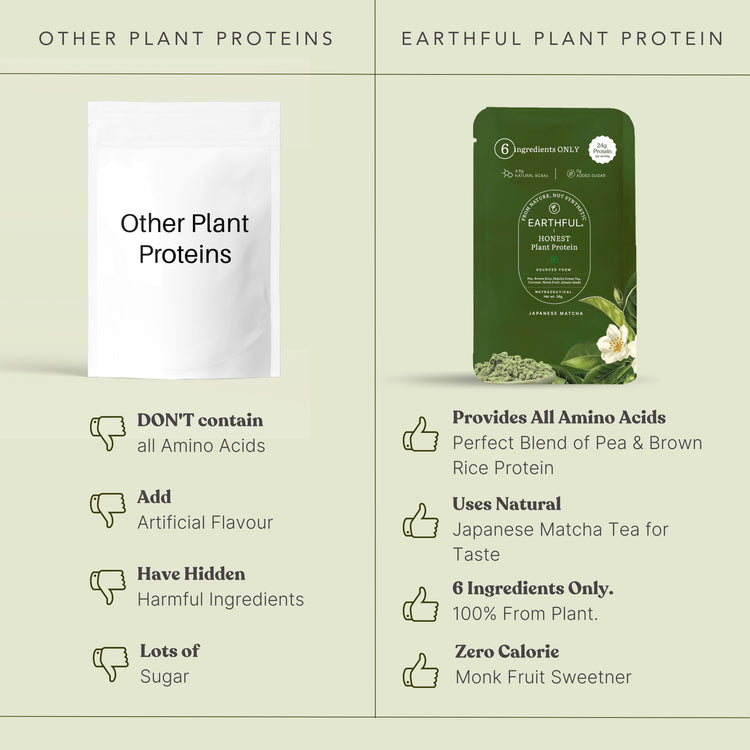 Honest Plant Protein - Japanese Matcha