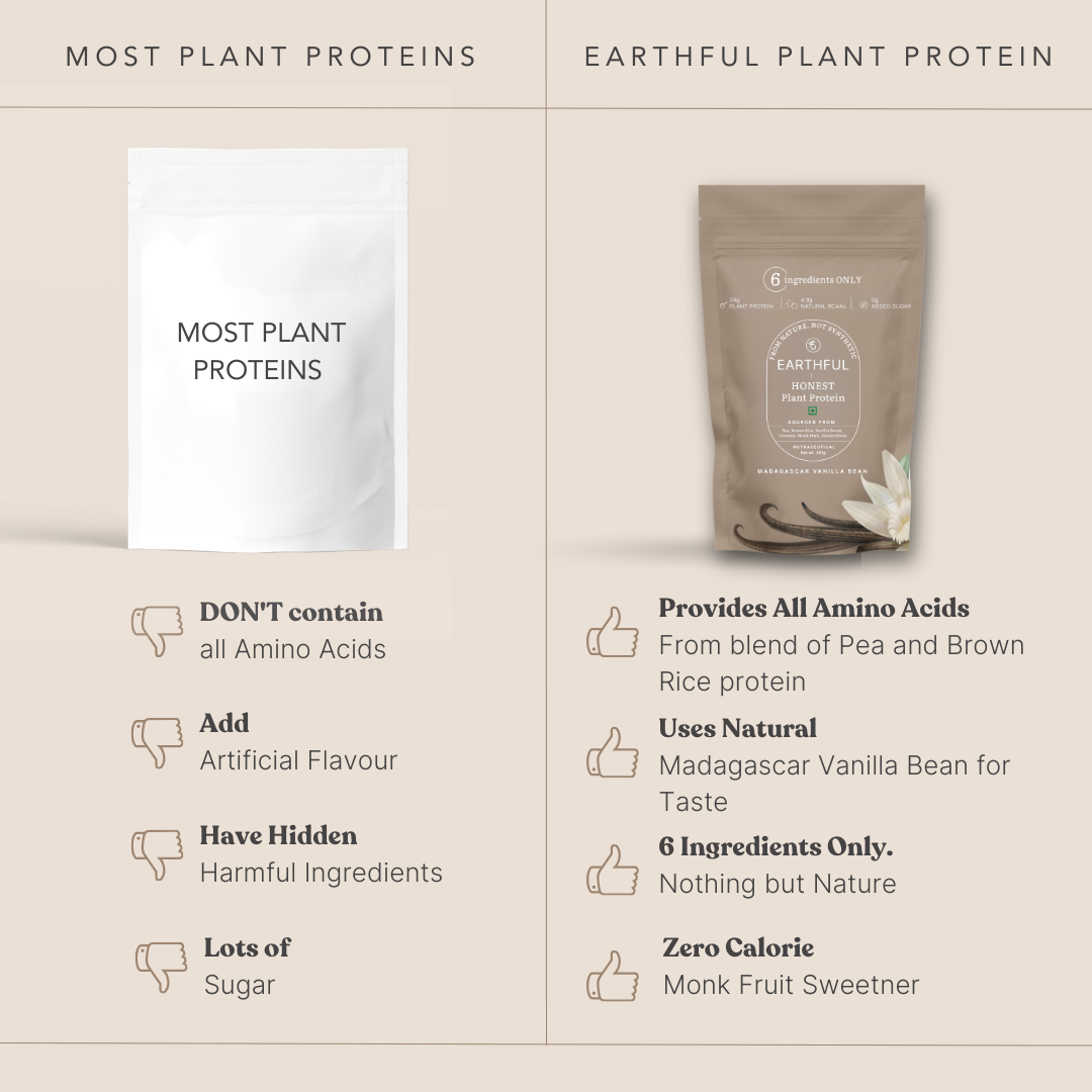MonkSweet + Plant Protein - Madagascar Vanilla