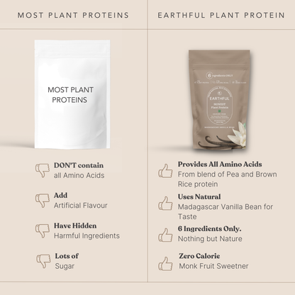 MonkSweet + Plant Protein - Madagascar Vanilla