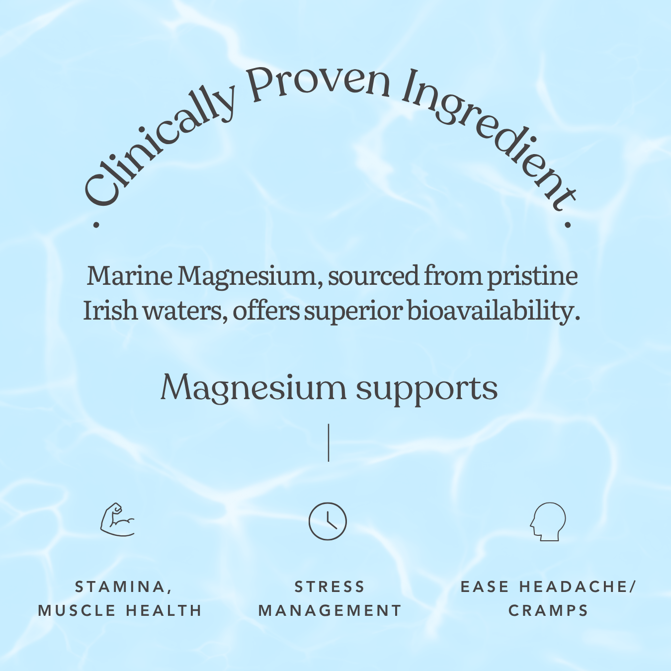 Marine Magnesium Powder
