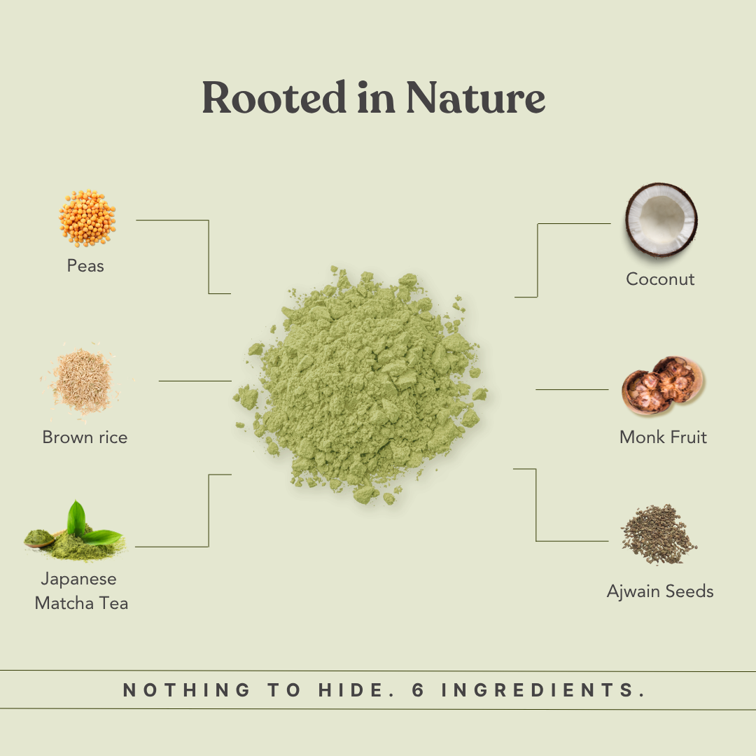 Plant Protein - Japanese Matcha