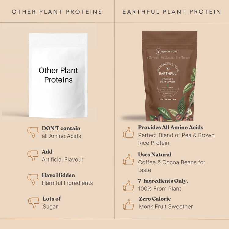 Honest Plant Protein - Coffee Mocha