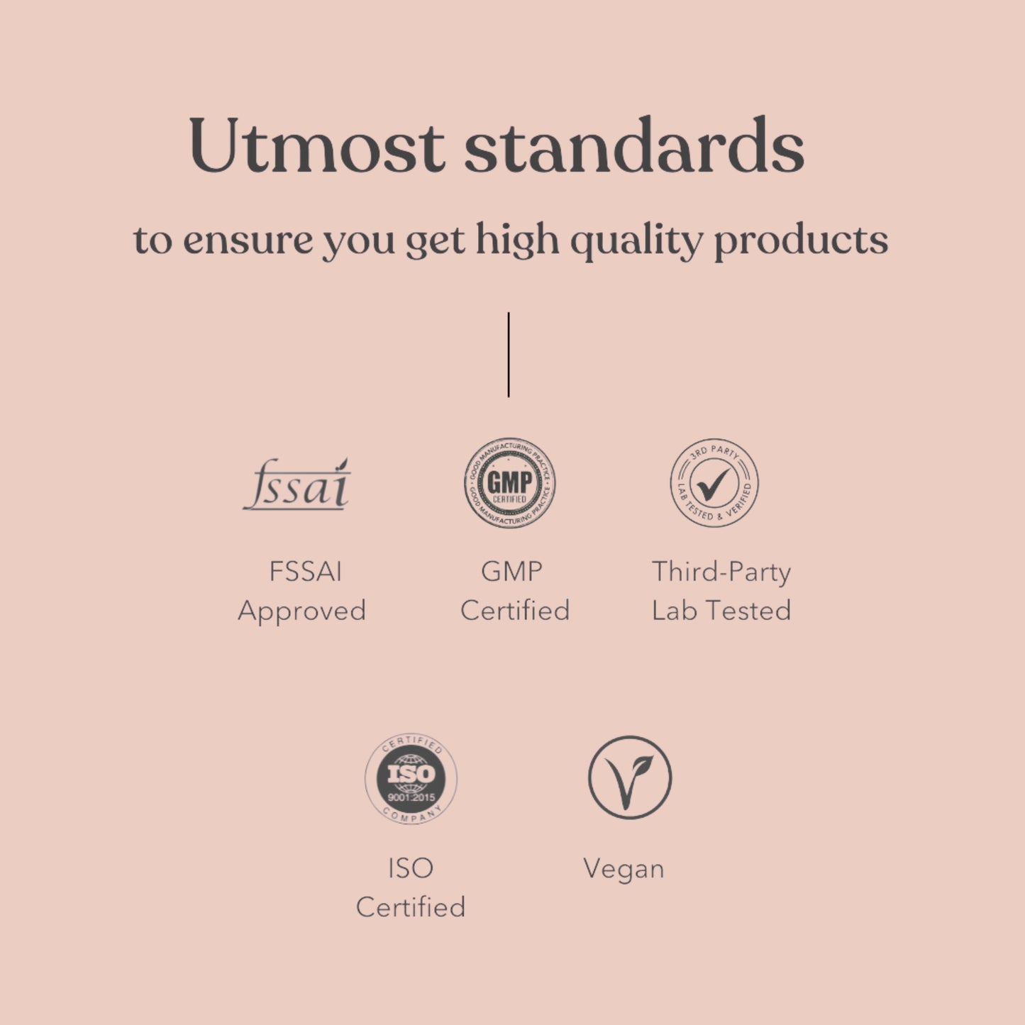 Honest Plant Protein - Berry Blast