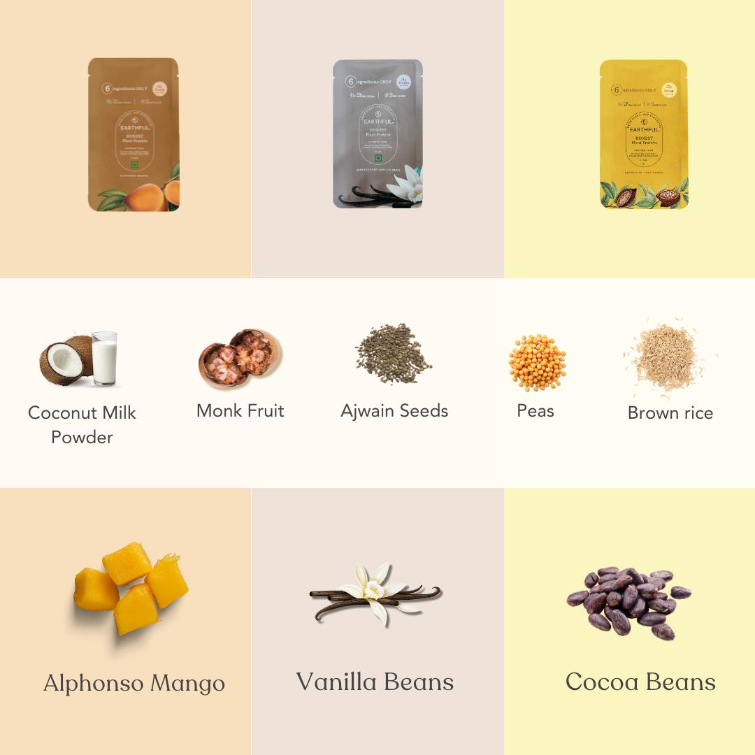 Honest Plant Protein - Assorted Pack Of 12