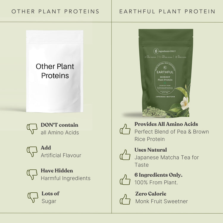 Honest Plant Protein - Japanese Matcha