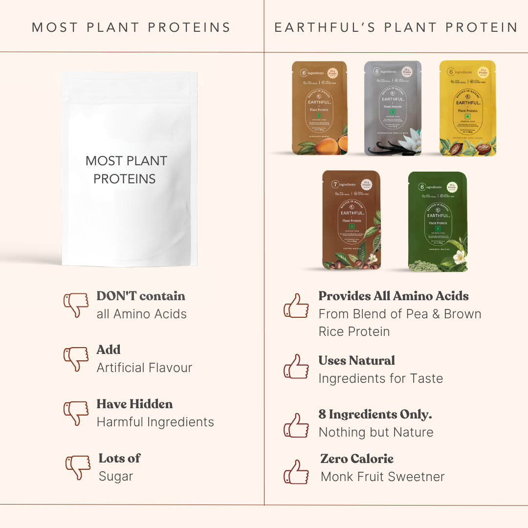 Honest Plant Protein - Assorted Pack