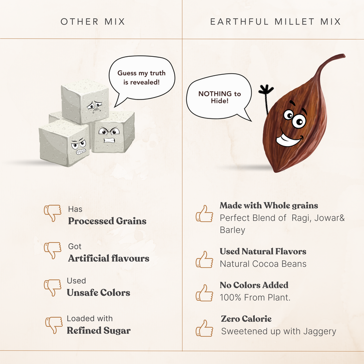 Earthful Kids Millet Mix
