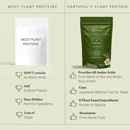 MonkSweet + Plant Protein - Japanese Matcha Combo