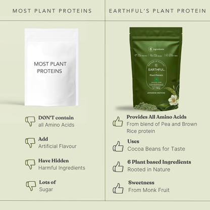 Plant Protein - Japanese Matcha