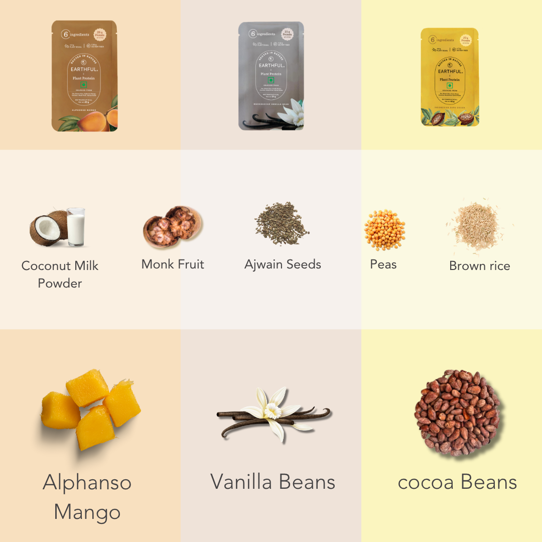 Honest Plant Protein - Assorted Pack