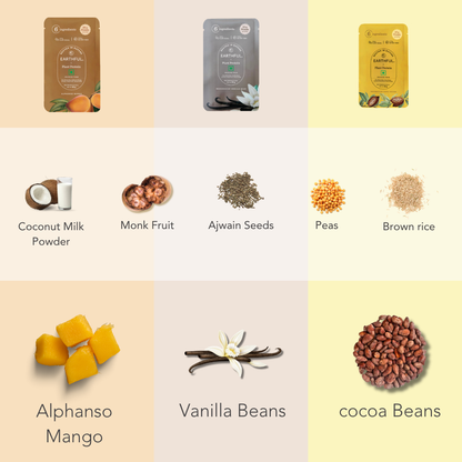 Honest Plant Protein - Assorted Pack