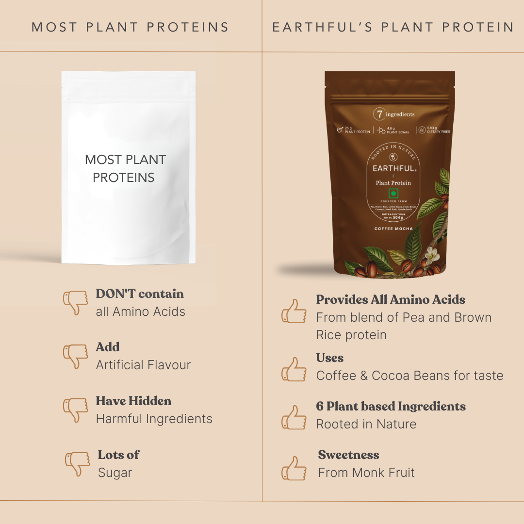 Honest Plant Protein - Coffee Mocha