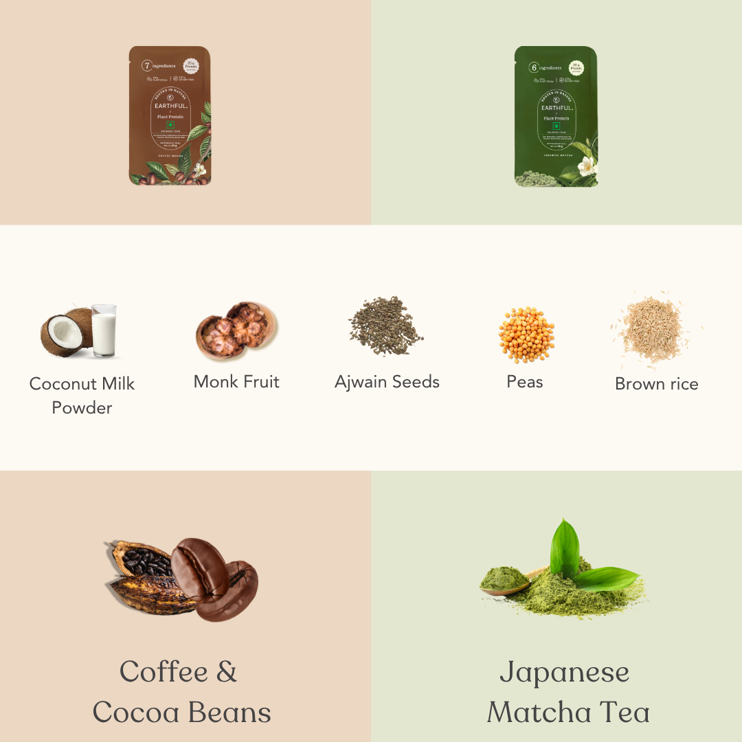 Honest Plant Protein - Assorted Pack
