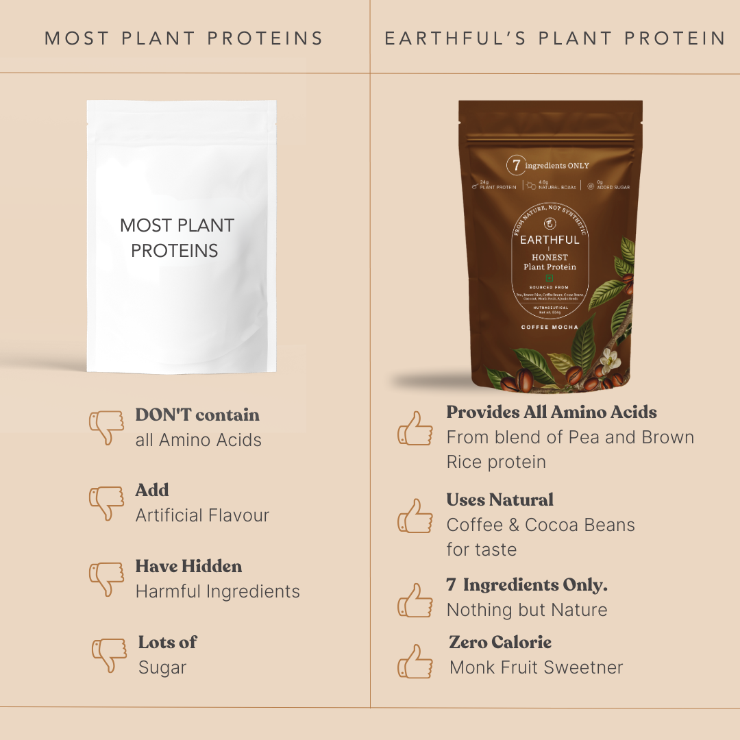 Honest Plant Protein - Coffee Mocha