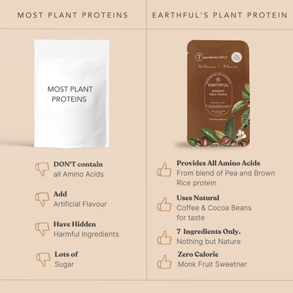 Honest Plant Protein - Coffee Mocha
