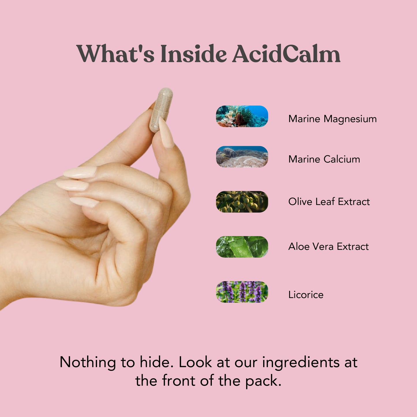 Earthful AcidCalm™ (Nutrition for digestive comfort*)