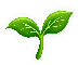 Non-GMO