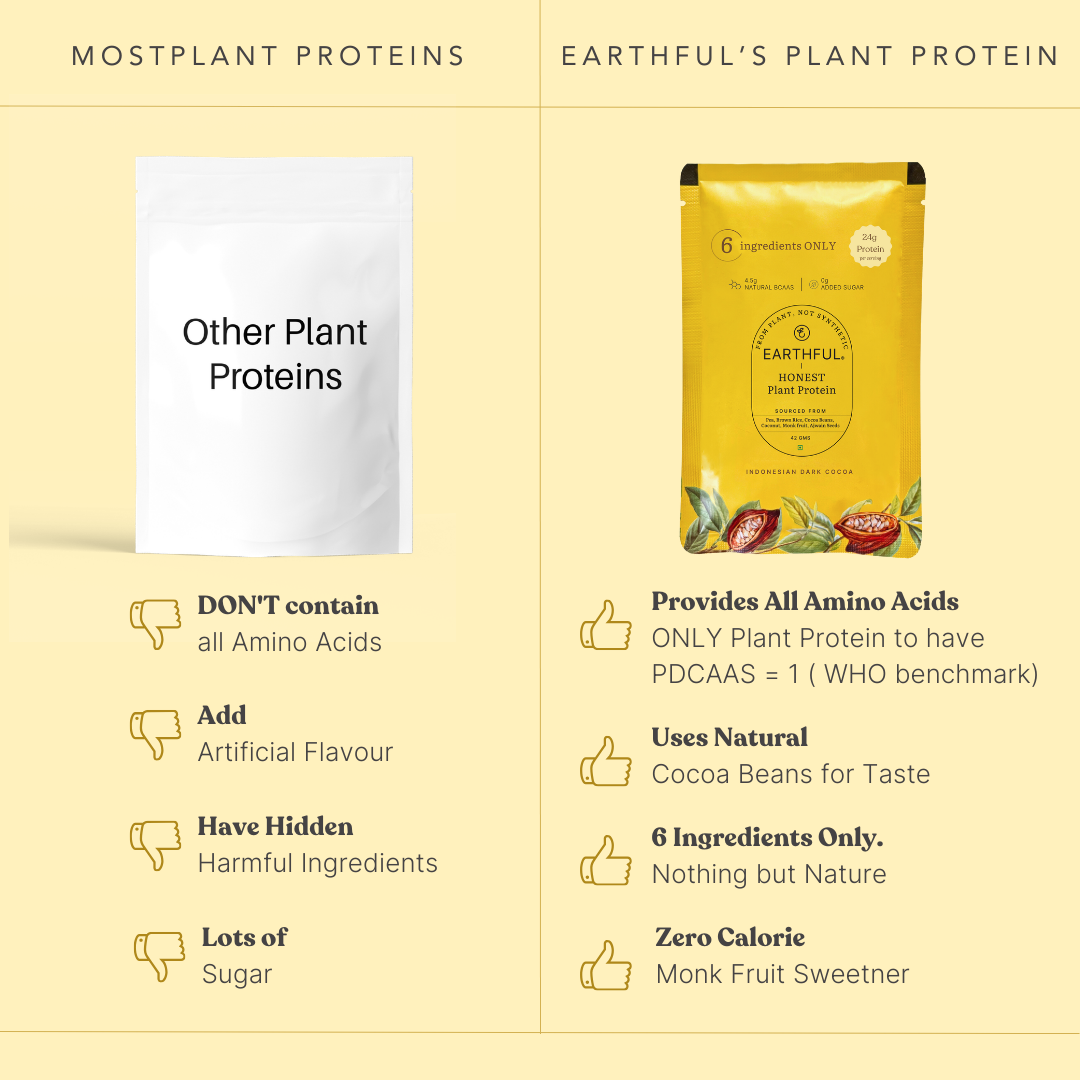 Plant Protein - Indonesian Cocoa