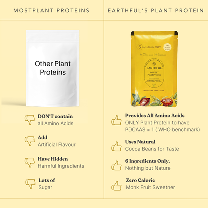 Plant Protein - Indonesian Cocoa