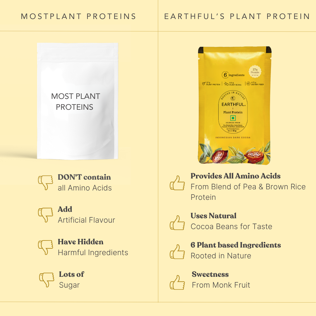 Plant Protein - Indonesian Cocoa