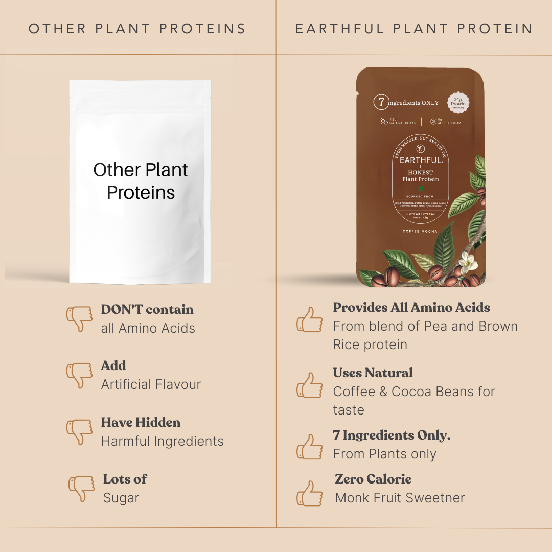 Honest Plant Protein - Coffee Mocha