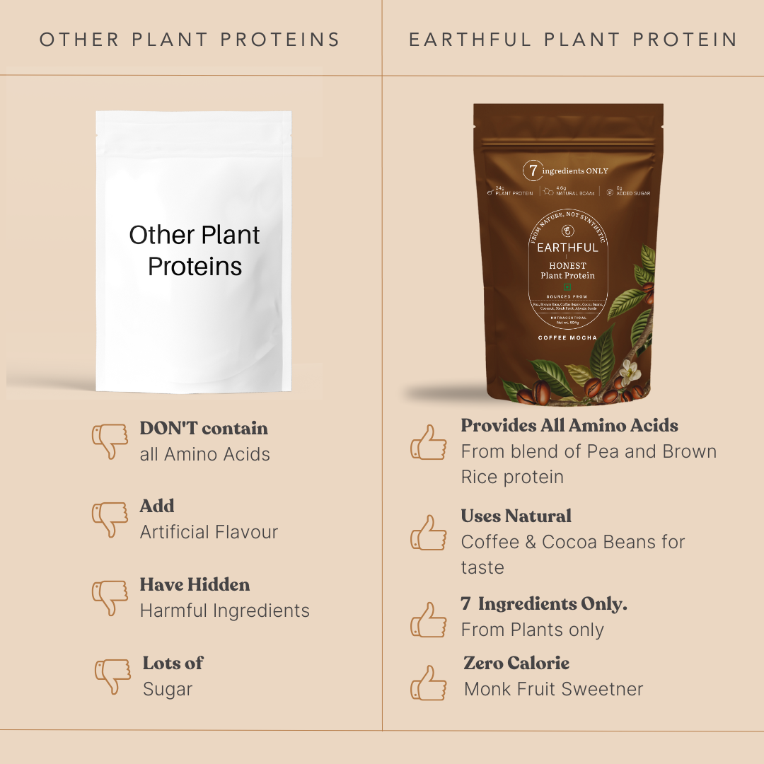 Honest Plant Protein - Coffee Mocha