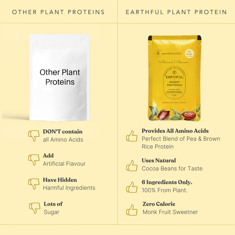 Honest Plant Protein - Indonesian Cocoa