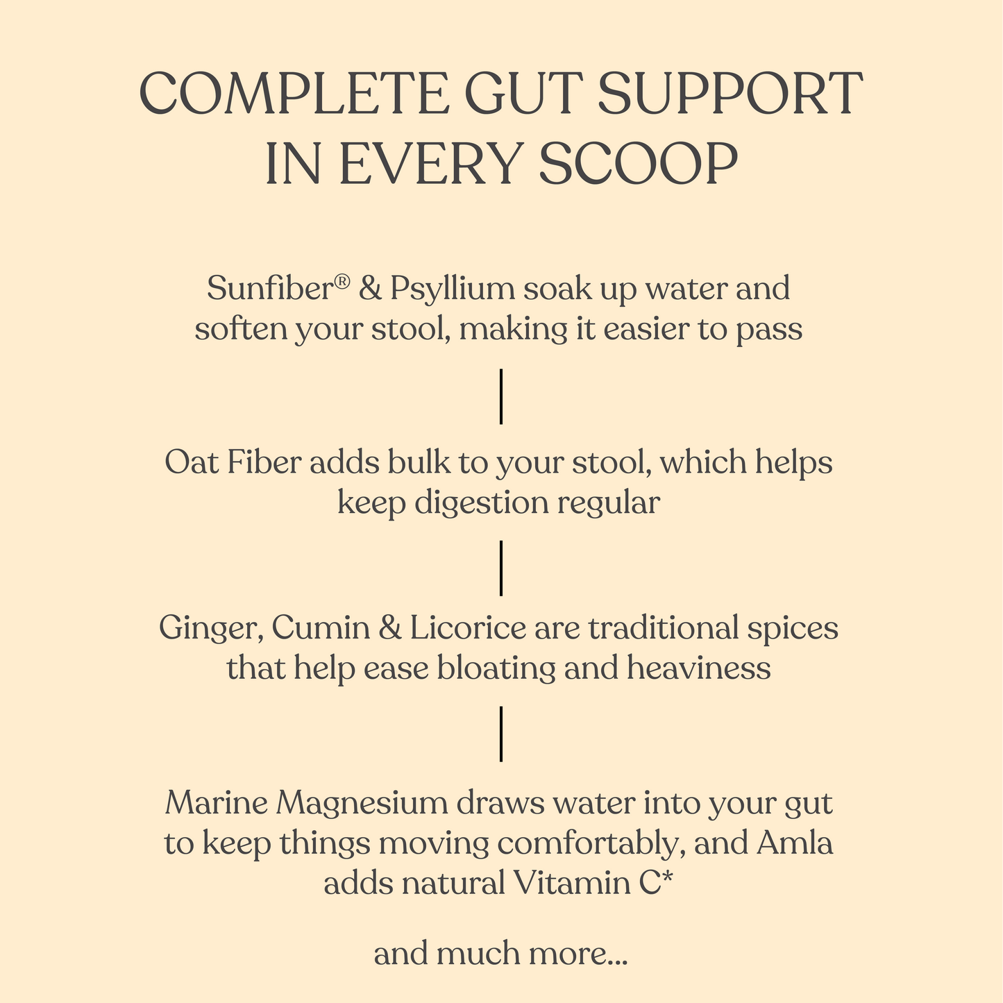 Everyday Fiber - Ginger Jeera