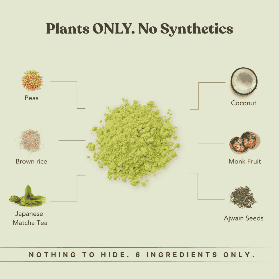 Honest Plant Protein - Japanese Matcha