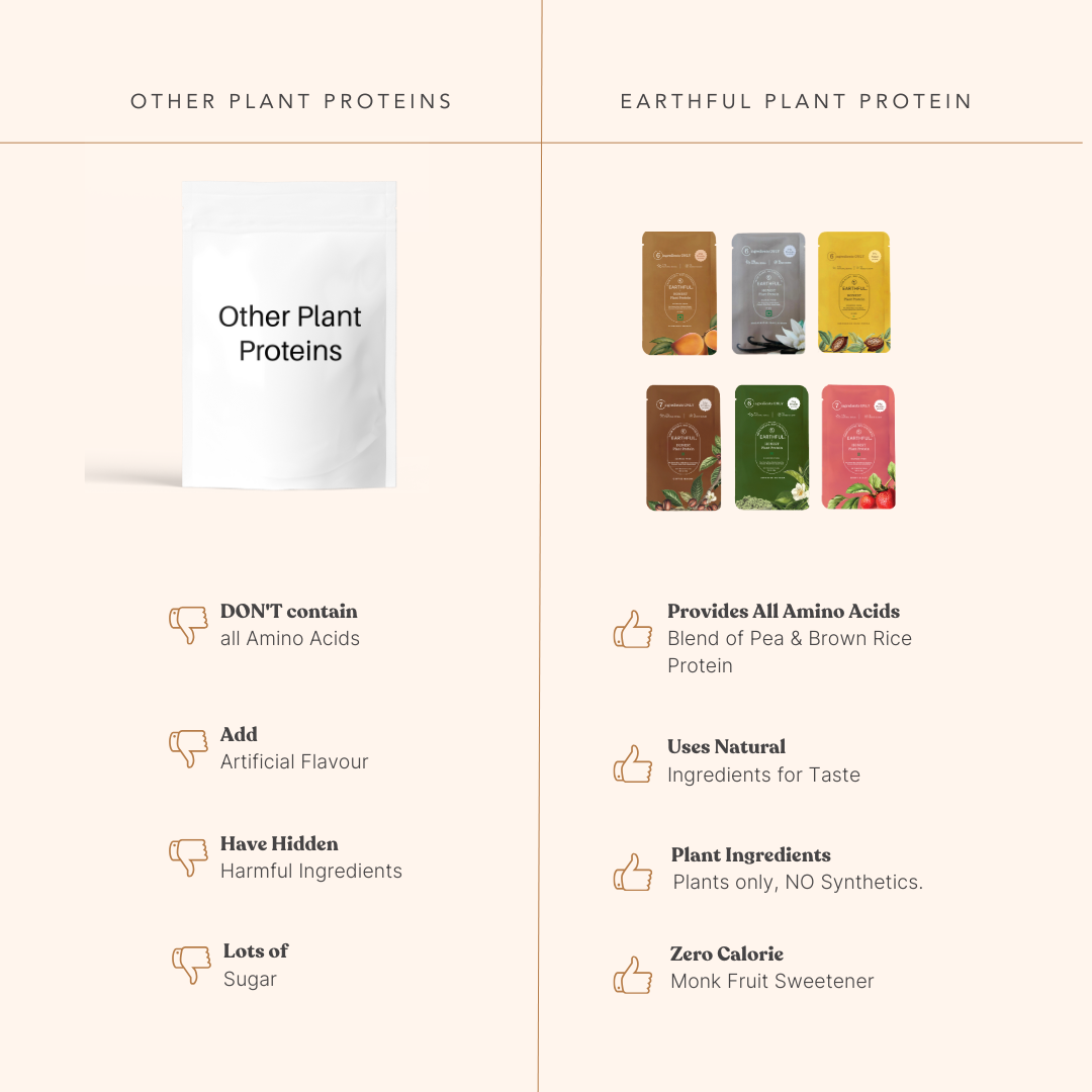 Honest Plant Protein - Assorted Pack Of 12