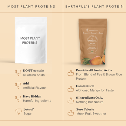 MonkSweet + Plant Protein - Alphonso Mango